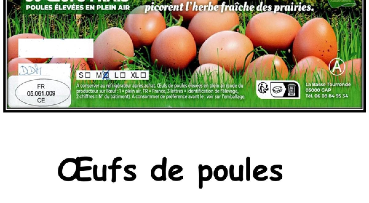 flyer oeufs