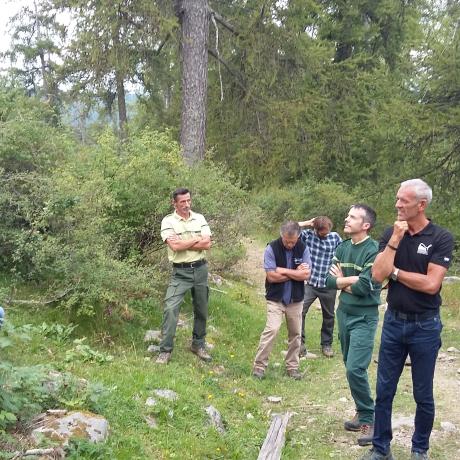 Charte forestière atelie Charte forestière atelie