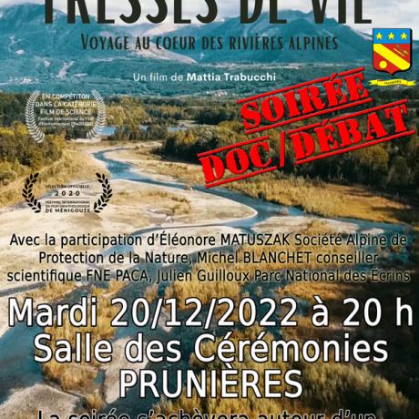 Affiche de la Soirée débat et Film Tresse de Vie