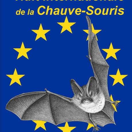 Conférence - à la découverte des chauves-souris !