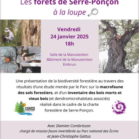 affiche conférence biodiversité forestière affiche conférence biodiversité forestière