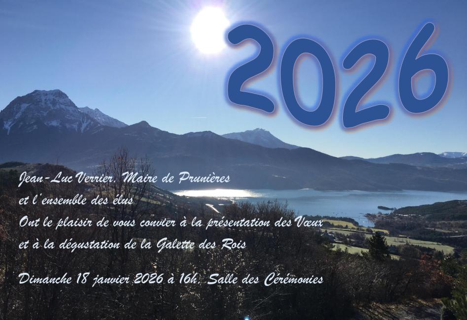 Invitation cérémonie des voeux