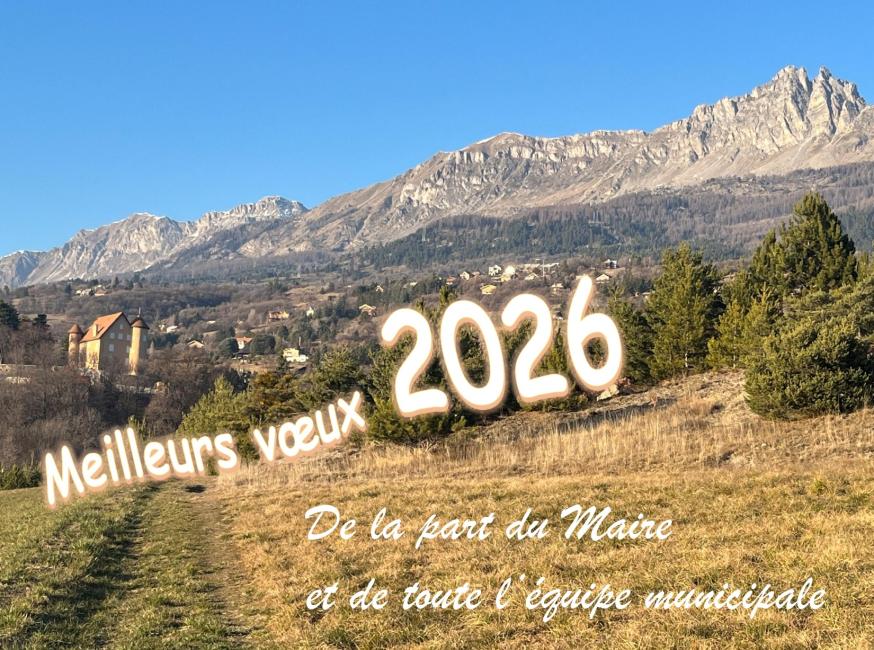Voeux 2026