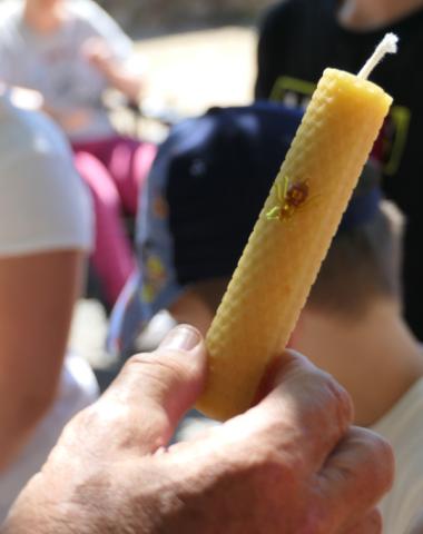 Photo fête du Miel et des Abeilles